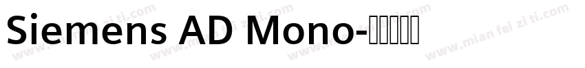 Siemens AD Mono字体转换